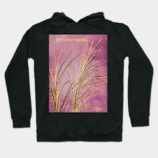 For Amber Waves Hoodie